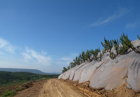 蘋果基地