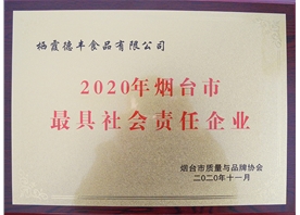 2020年煙臺(tái)市最具社會(huì)責(zé)任企業(yè)