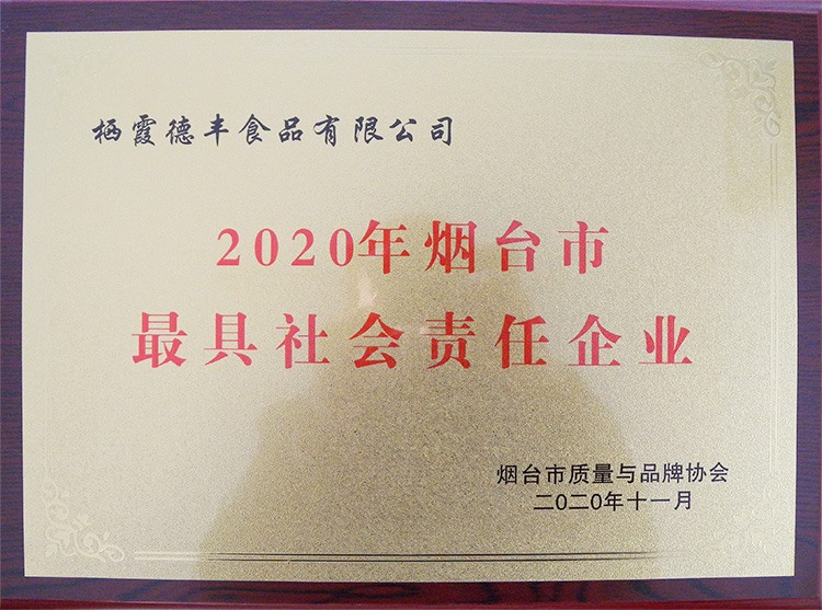 2020年煙臺市最具社會責任企業(yè)